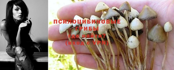 spice Арсеньев