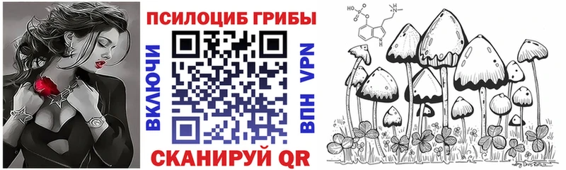 hydra сайт  Канск  Псилоцибиновые грибы MAGIC MUSHROOMS  darknet Telegram  цены наркотик 