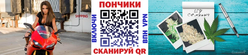 Конопля SATIVA & INDICA Канск